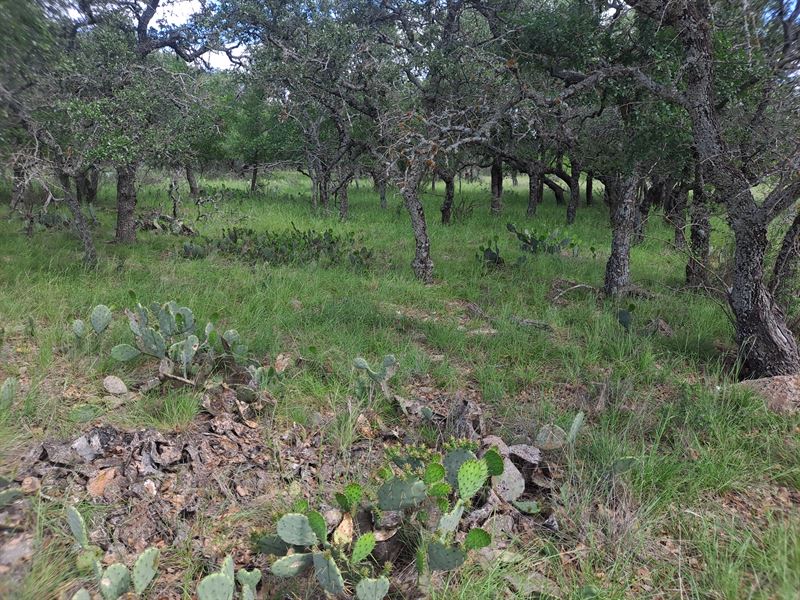 Lake Brownwood Lot in Oak Point, Lot for Sale by Owner in Texas