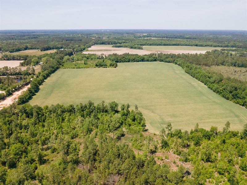5+/- to 65+/- Ac Old River Rd South : Brooklet : Bulloch County : Georgia