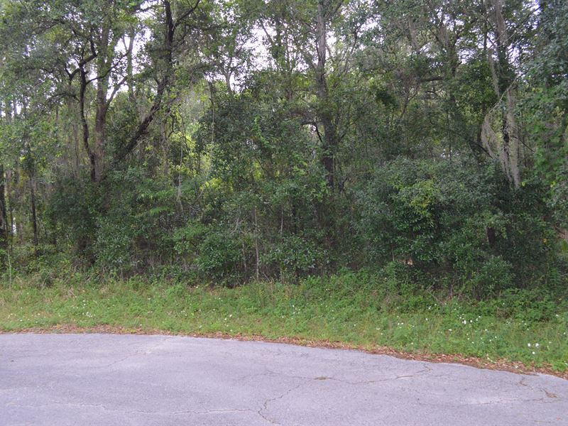 Great Neighborhood : Live Oak : Suwannee County : Florida