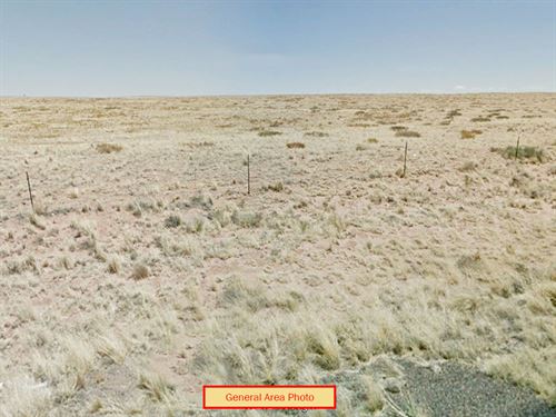 1.25 Acres in Navajo County, AZ : Holbrook : Navajo County : Arizona