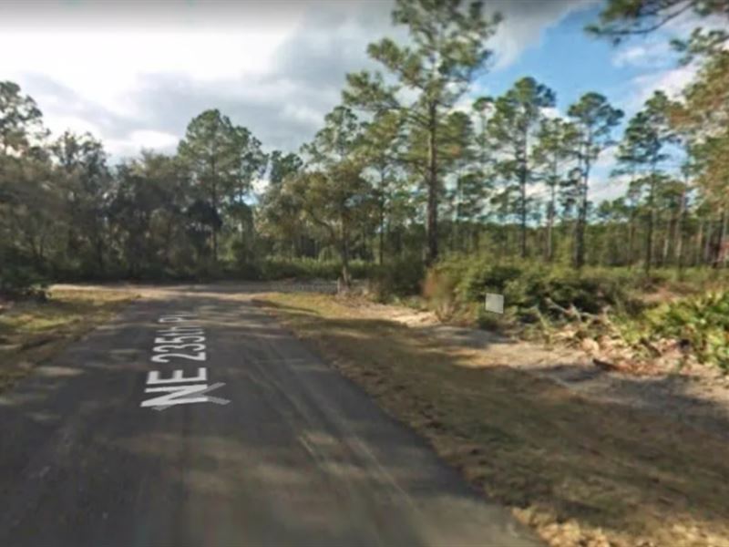 Cheap Lot for Sale in Ocala, FL : Fort McCoy : Marion County : Florida