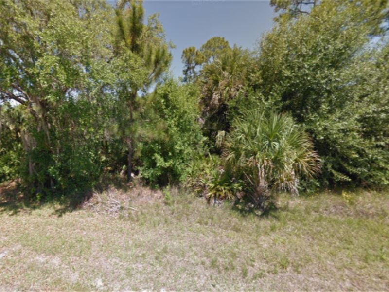 Brevard County Lot for Sale : Palm Bay : Brevard County : Florida