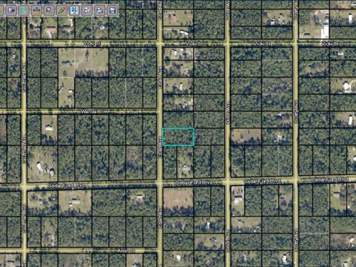 1.14 Acre in Saint Johns County, FL : Hastings : Saint Johns County : Florida
