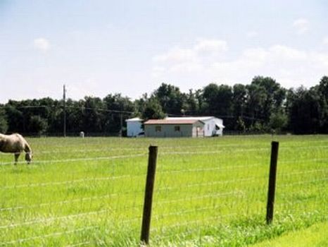 Powerline - Fishawk - 5 Acres : Fish Hawk : Hillsborough County : Florida