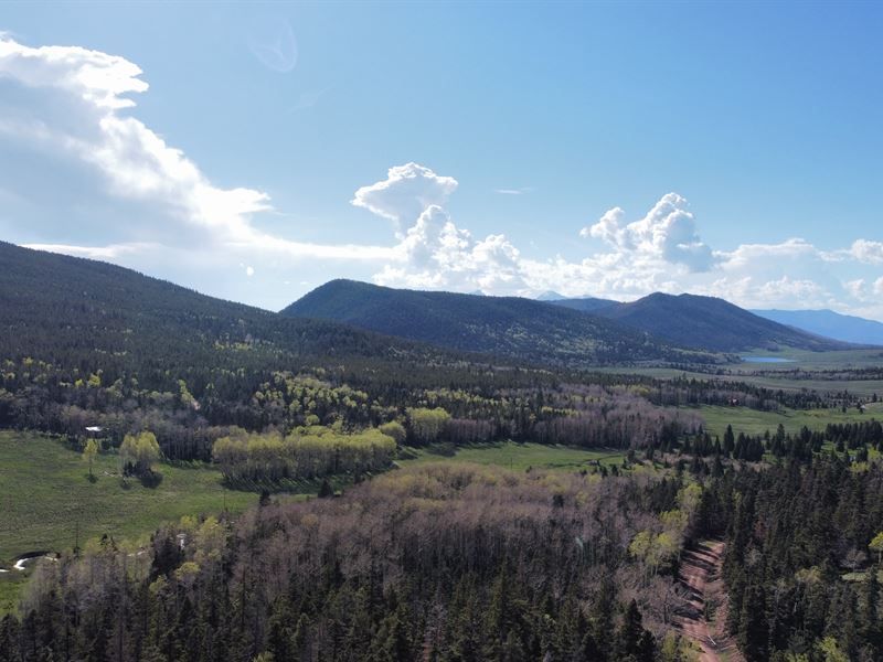 Forbes Park Treed Mountain Retreat : Fort Garland : Costilla County : Colorado