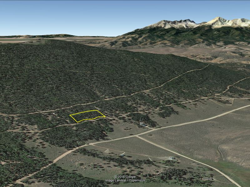 Build Your Dream Cabin Here : Fort Garland : Costilla County : Colorado