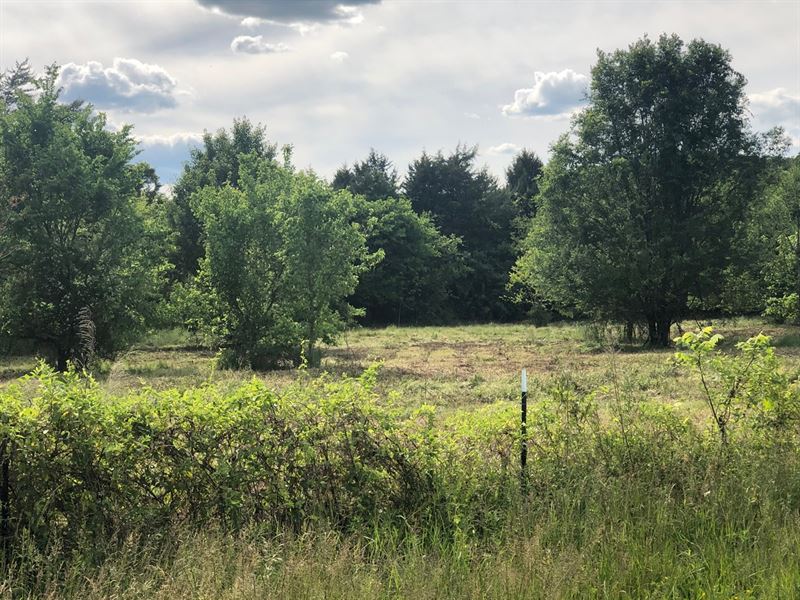 7.32 Surveyed Acres Hawkins Co, TN : Mooresburg : Hawkins County : Tennessee