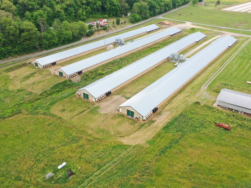 Four House Broiler Farm : Midway : Greene County : Tennessee
