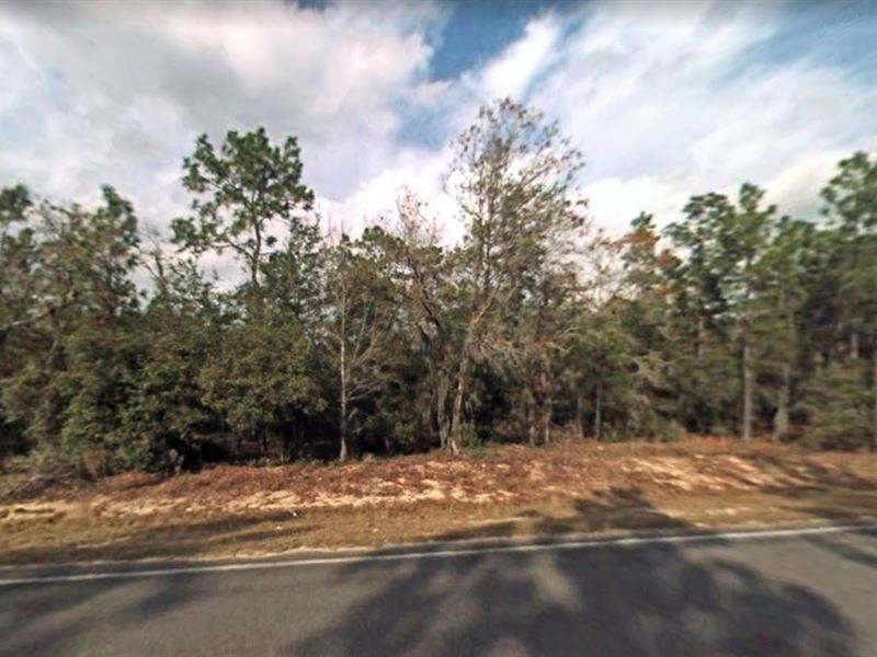 .52 Acres in Florahome, FL : Florahome : Putnam County : Florida
