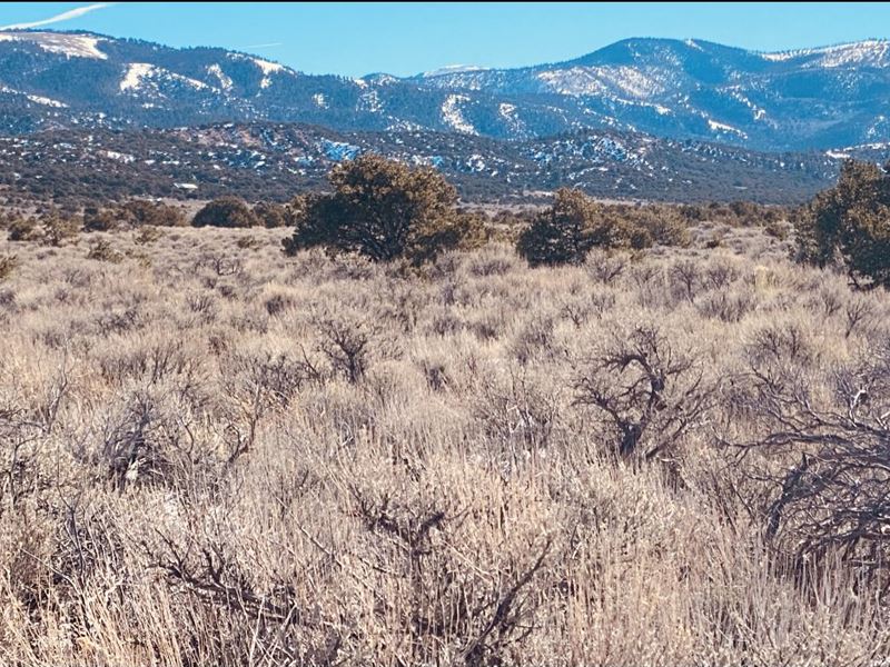 Off The Grid Home Site : Fort Garland : Costilla County : Colorado