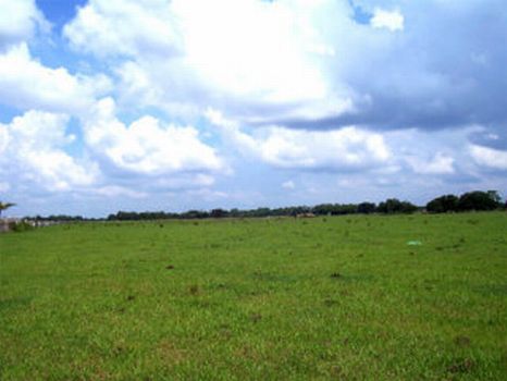 Serenity Acres - 10.49 Acres : Fish Hawk : Hillsborough County : Florida