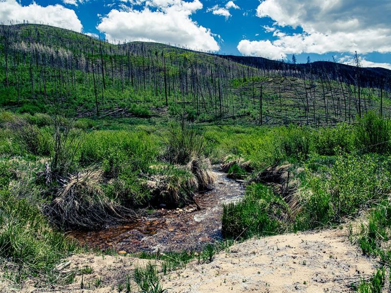 Gold Run The Perfect 10 : Granby : Grand County : Colorado