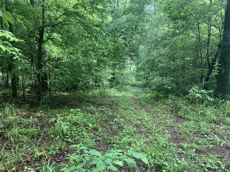 .50 Acre Lot on Little Dunham : Pangburn : Cleburne County : Arkansas