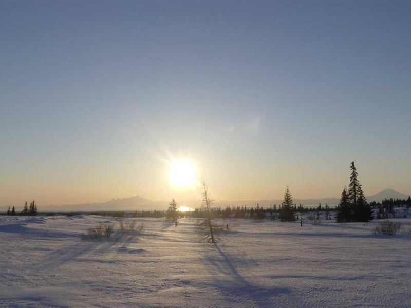Accessible, Off-Grid Acreage : Ninilchik : Kenai Peninsula Borough : Alaska