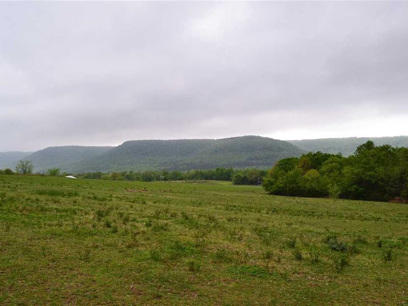 15 Acres with Beautiful Views : Witts Springs : Searcy County : Arkansas