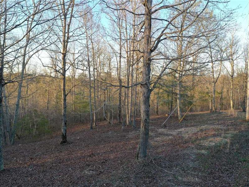 Beautiful 4+ Acre Lot Minutes From : Waverly : Humphreys County : Tennessee