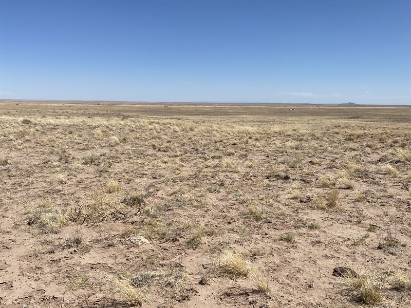 Wide Open Prairie But Close to I-40 : Sun Valley : Navajo County : Arizona