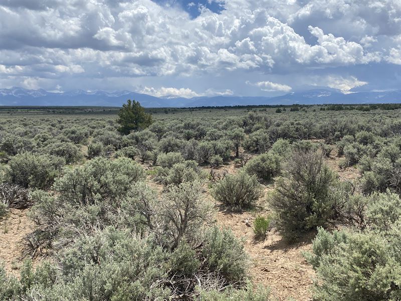 Secluded & Mtn Views for $99/Month : San Luis : Costilla County : Colorado