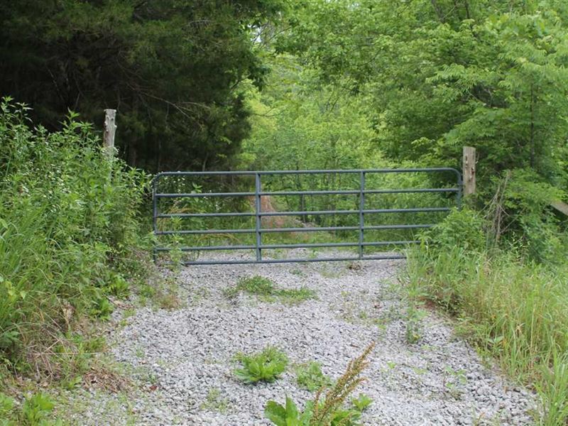 15 Acres Possum Hollow Rd, Deka : Dowelltown : Dekalb County : Tennessee