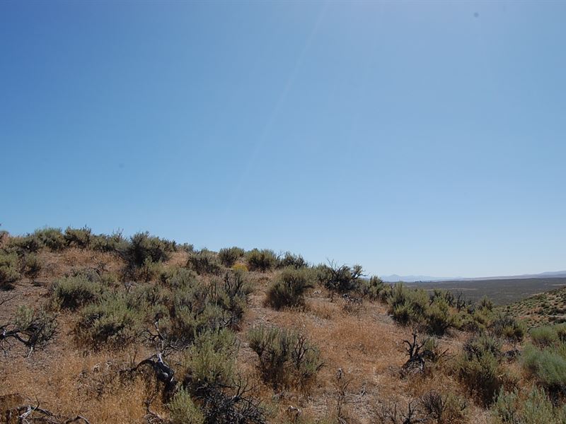 1.13 Acres in Elko, Nevada : Elko : Elko County : Nevada