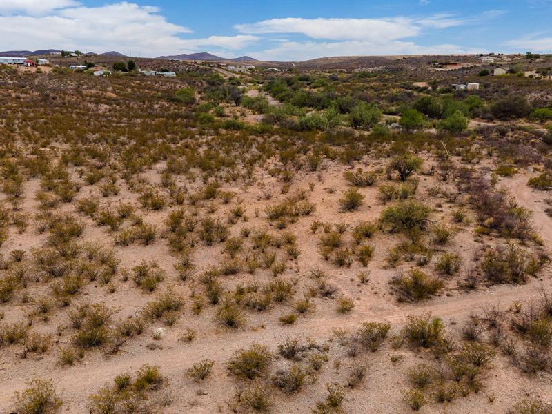 Beautiful Desert Lot, Tombstone, AZ : Tombstone : Cochise County : Arizona