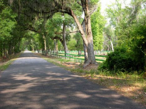 Webster Acreage : Webster : Sumter County : Florida
