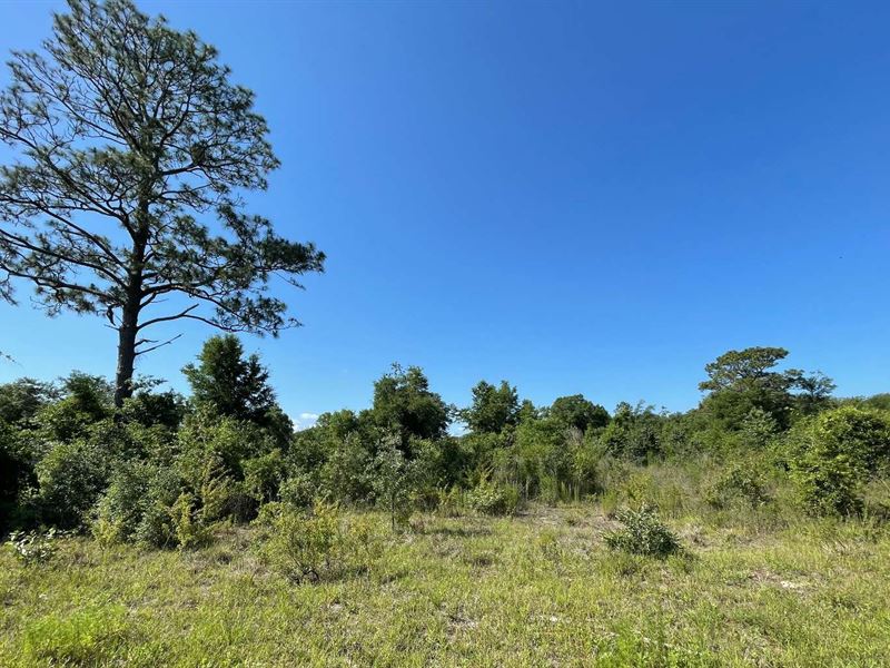 Private 10 Acres : Live Oak : Suwannee County : Florida