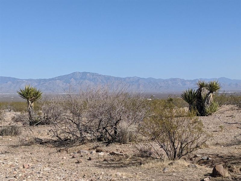 4.7 Acres Near Kingman, AZ : Golden Valley : Mohave County : Arizona
