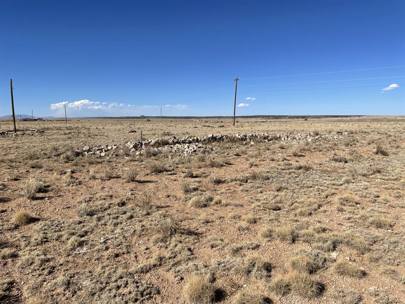 Lots of Space & Few Neighbors : Moriarty : Torrance County : New Mexico