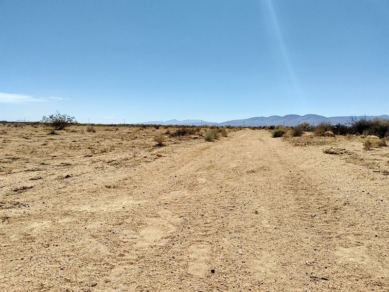 .17 Acre Lot in California City : California City : Kern County : California