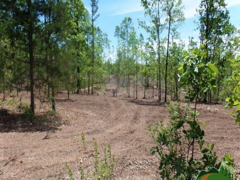 Large Clearing, Pond, Electric : Thomasville : Oregon County : Missouri
