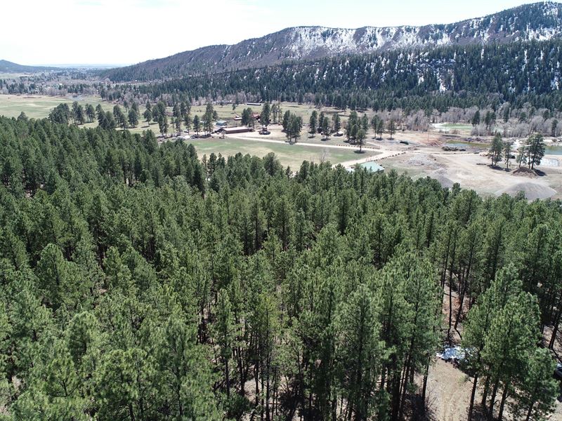 1.3 Acre Pine River Valley Paradise : Bayfield : La Plata County : Colorado