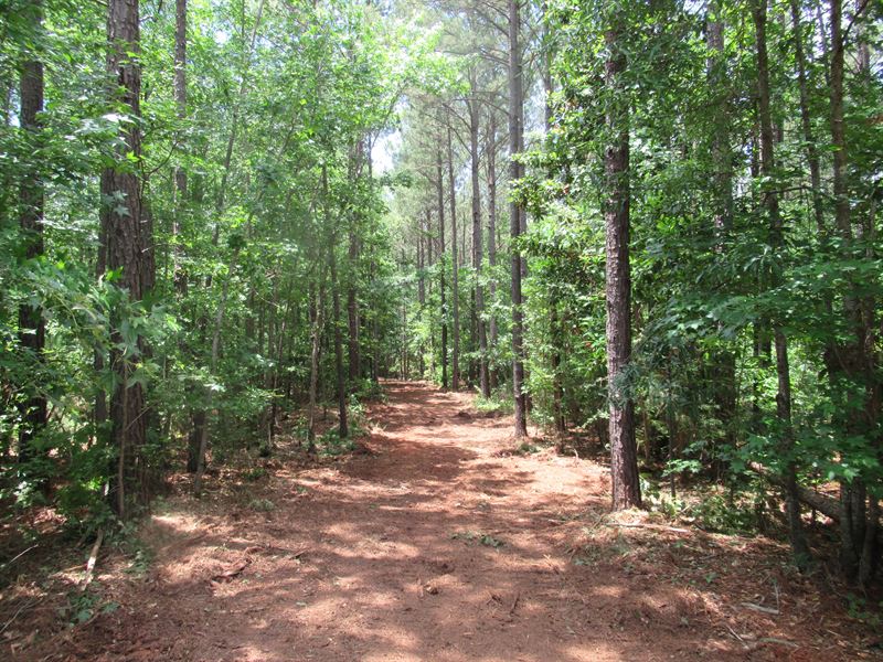 Estate Lot in Auburn City Limits : Auburn : Lee County : Alabama