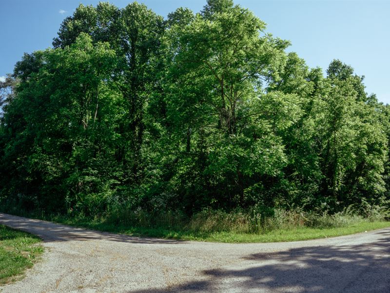 1.4 Acres of Gently Sloping Land : Tracy City : Grundy County : Tennessee