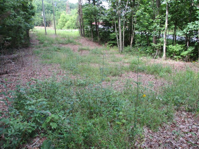 Nice Land, Partially Cleared : Pikeville : Bledsoe County : Tennessee