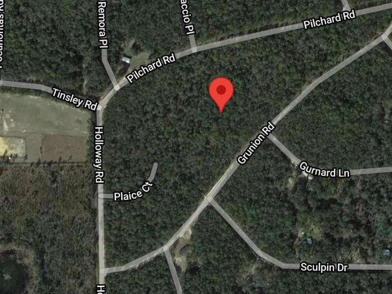 Beautiful Wooded Residential Lot : Florahome : Putnam County : Florida