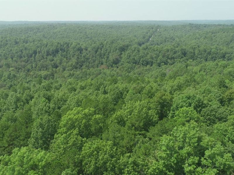3 Acres On Public Land : Birch Tree : Shannon County : Missouri