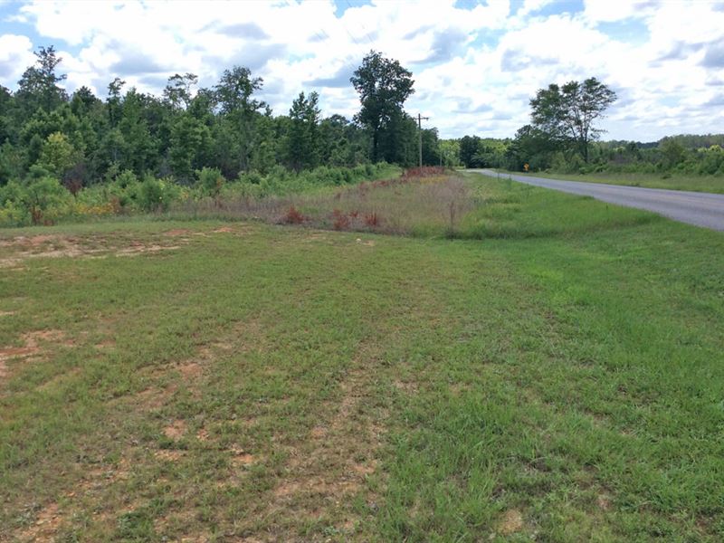 Williamson Mt. Ida Rd : Luverne : Crenshaw County : Alabama