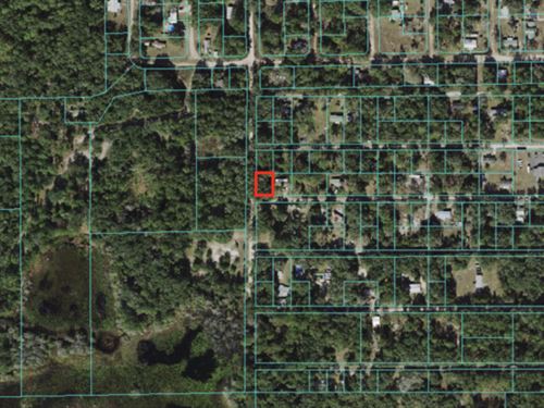 Fort MC Coy, FL 0.17 Acre Lot : Fort Mc Coy : Marion County : Florida
