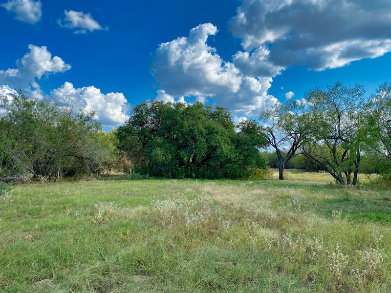 12.56 Acres Owner Financing : Kingsbury : Guadalupe County : Texas