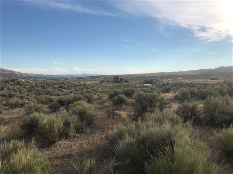 Homesite Gem, Next to Public Land : Elko : Elko County : Nevada