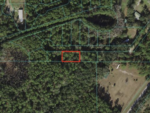 Fort MC Coy, FL 0.14 Acre Lot : Fort Mc Coy : Marion County : Florida