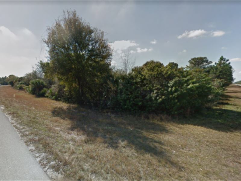 Lee County, FL Lot for Sale : Lehigh Acres : Lee County : Florida