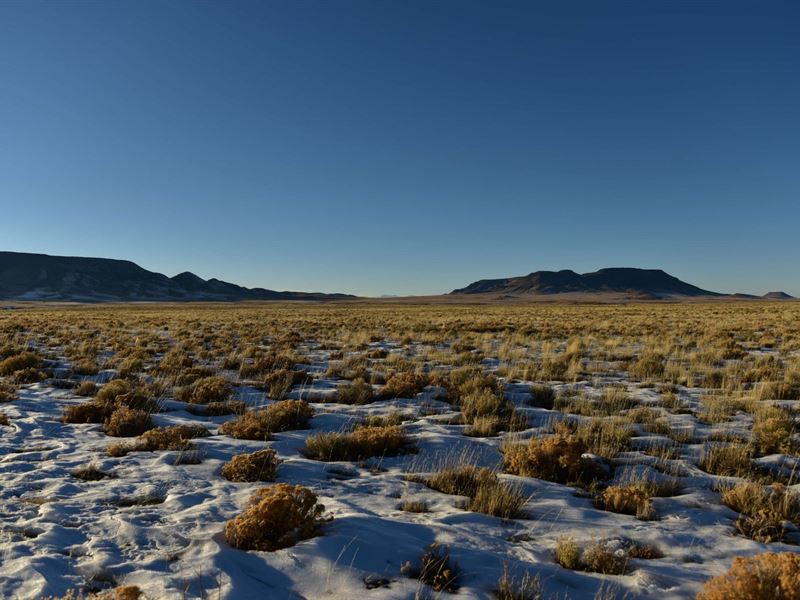 Escape to 4.6 Beautiful Acres in CO : San Luis : Costilla County : Colorado