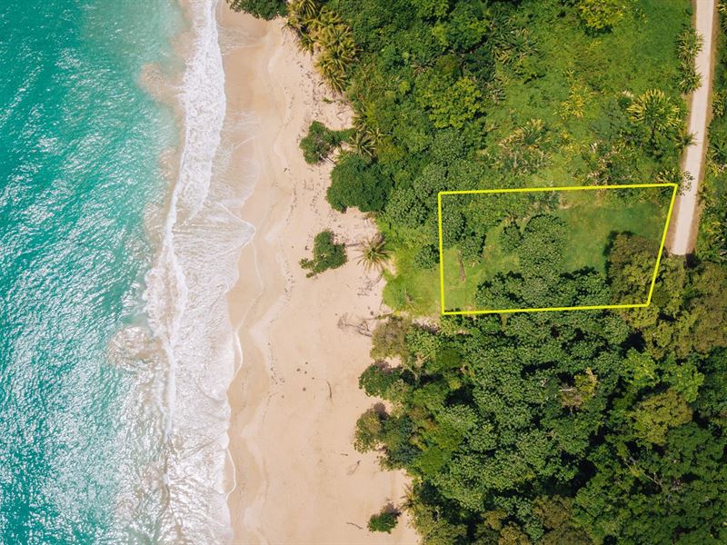 Panama Beachfront Property for Sale : Isla Bastimentos : Panama