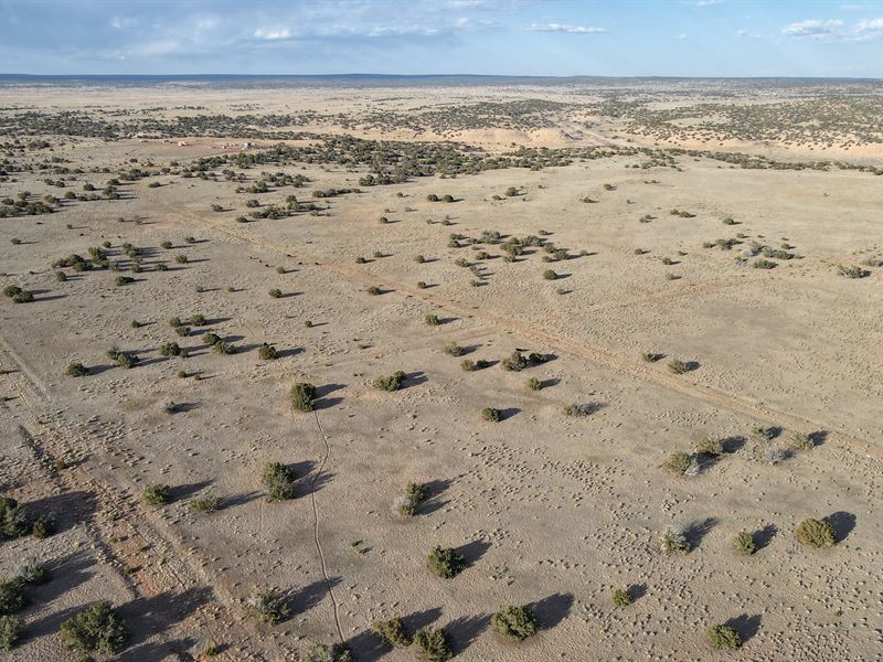 3.2 Sprawling Off Grid Paradise : Sanders : Apache County : Arizona