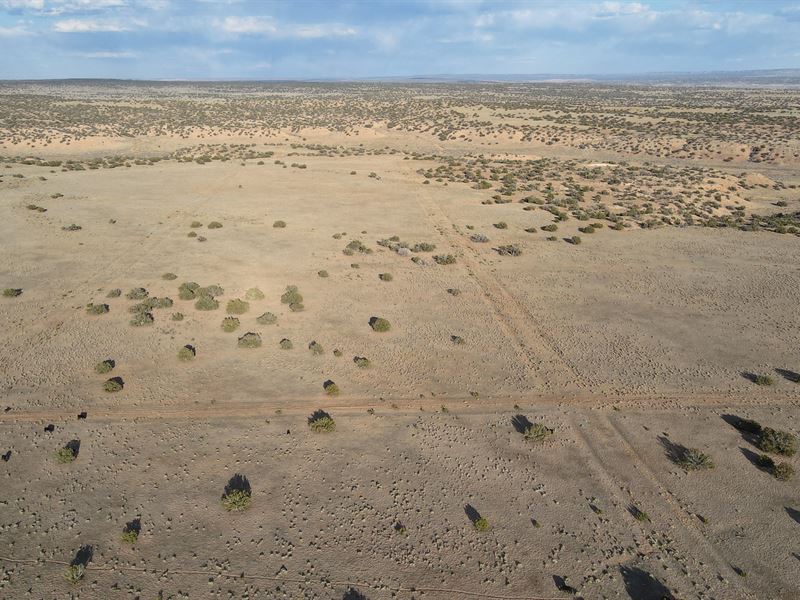Peace and Solace 1 Acre Lot : Chambers : Apache County : Arizona