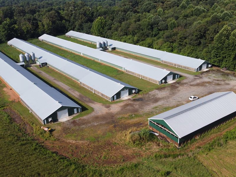 4 House Broiler Poultry Farm : Ellijay : Gilmer County : Georgia