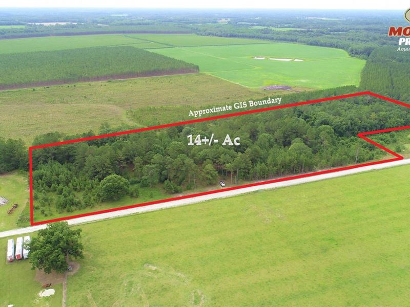 14 Ac Land for Sale Pierce County : Blackshear : Pierce County : Georgia