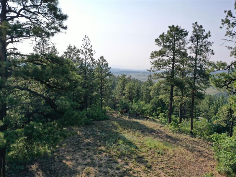 Diamante Acres : Chama : Rio Arriba County : New Mexico